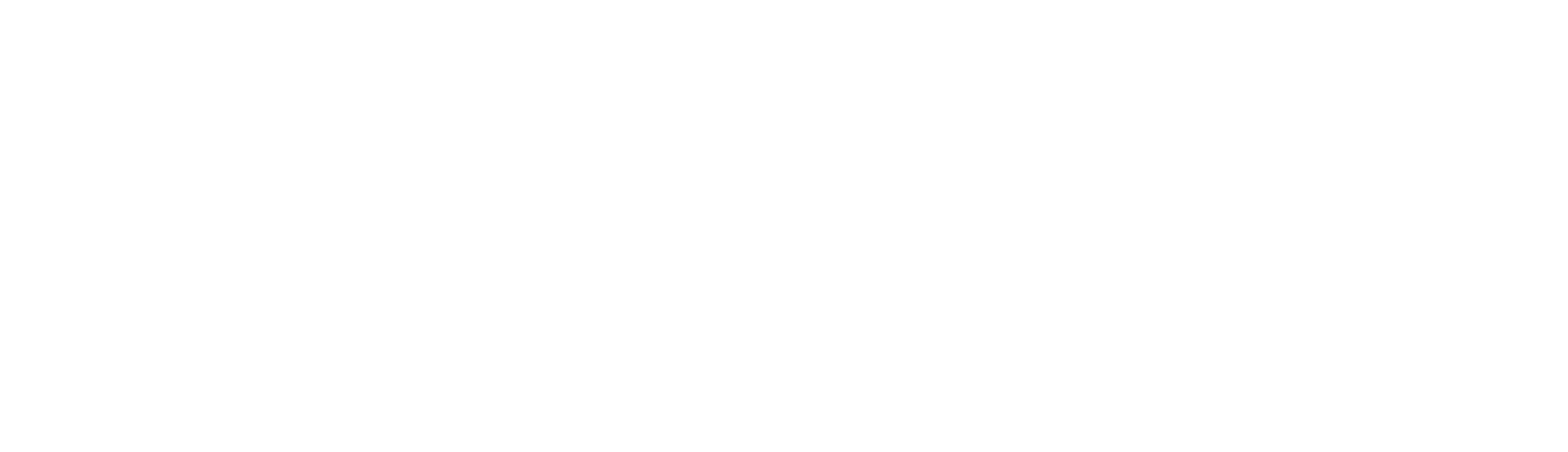 Peerfit-logo-1